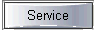  Service 